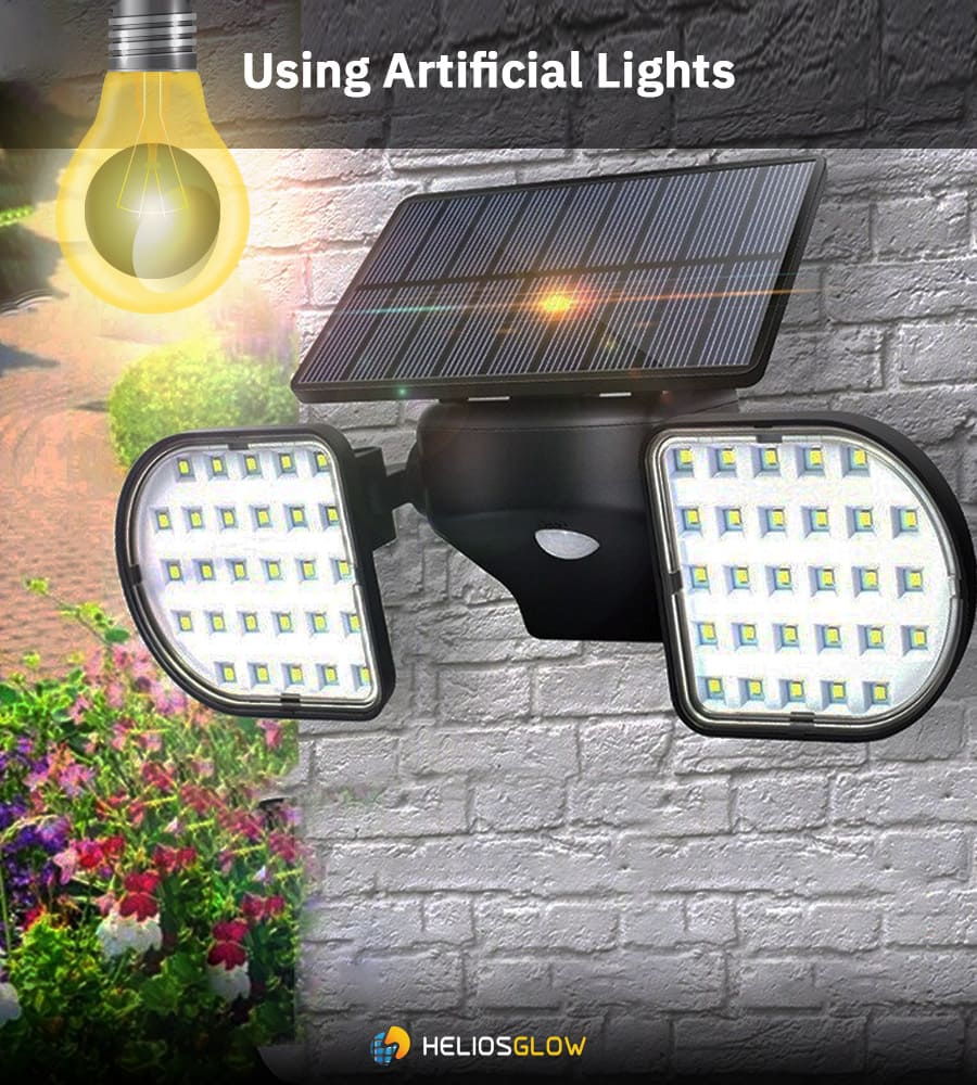 Using Artificial Lights