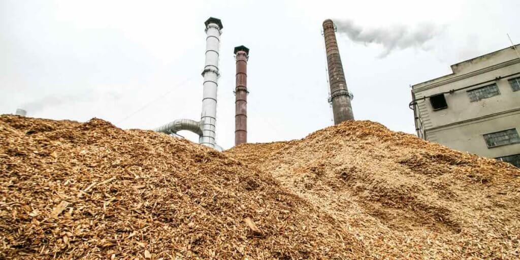 Biomass